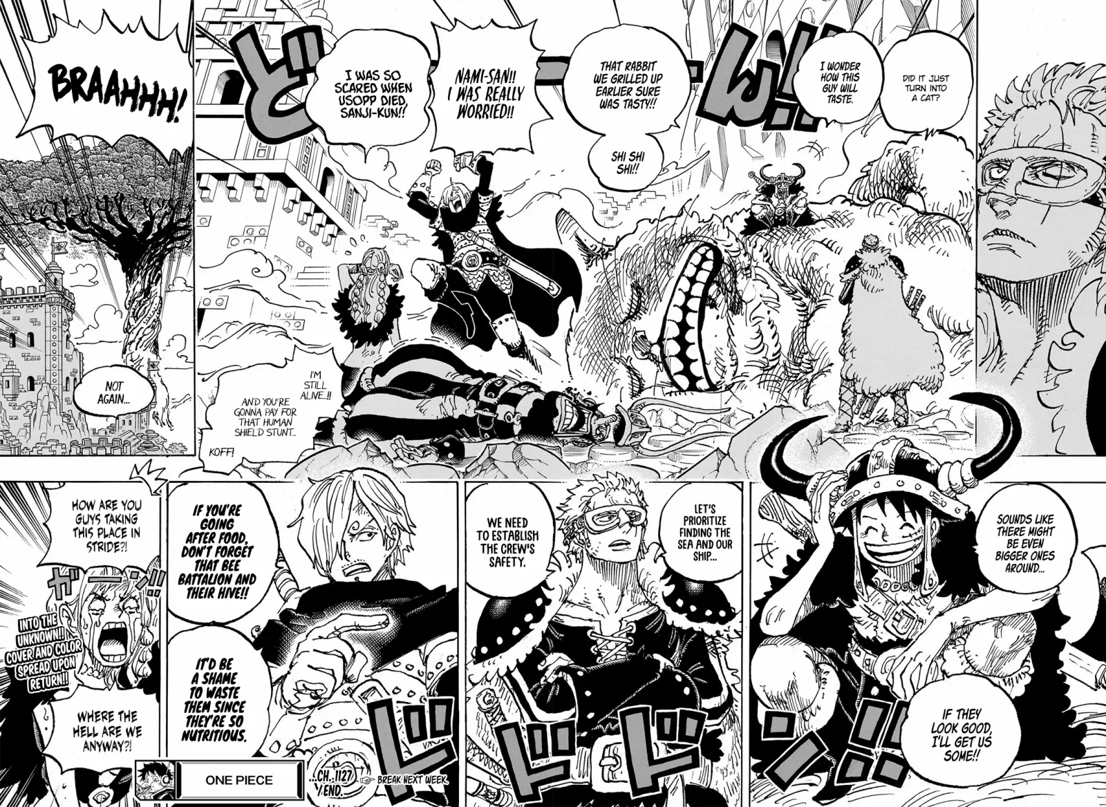 One Piece Chapter 1127 page 15