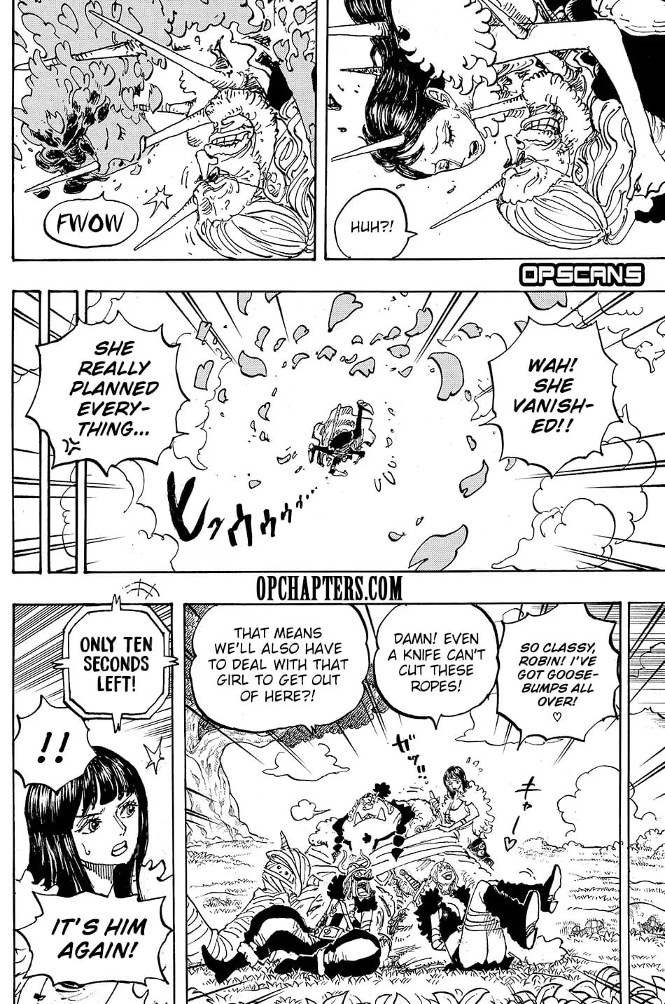 One Piece Chapter 1148 page 10