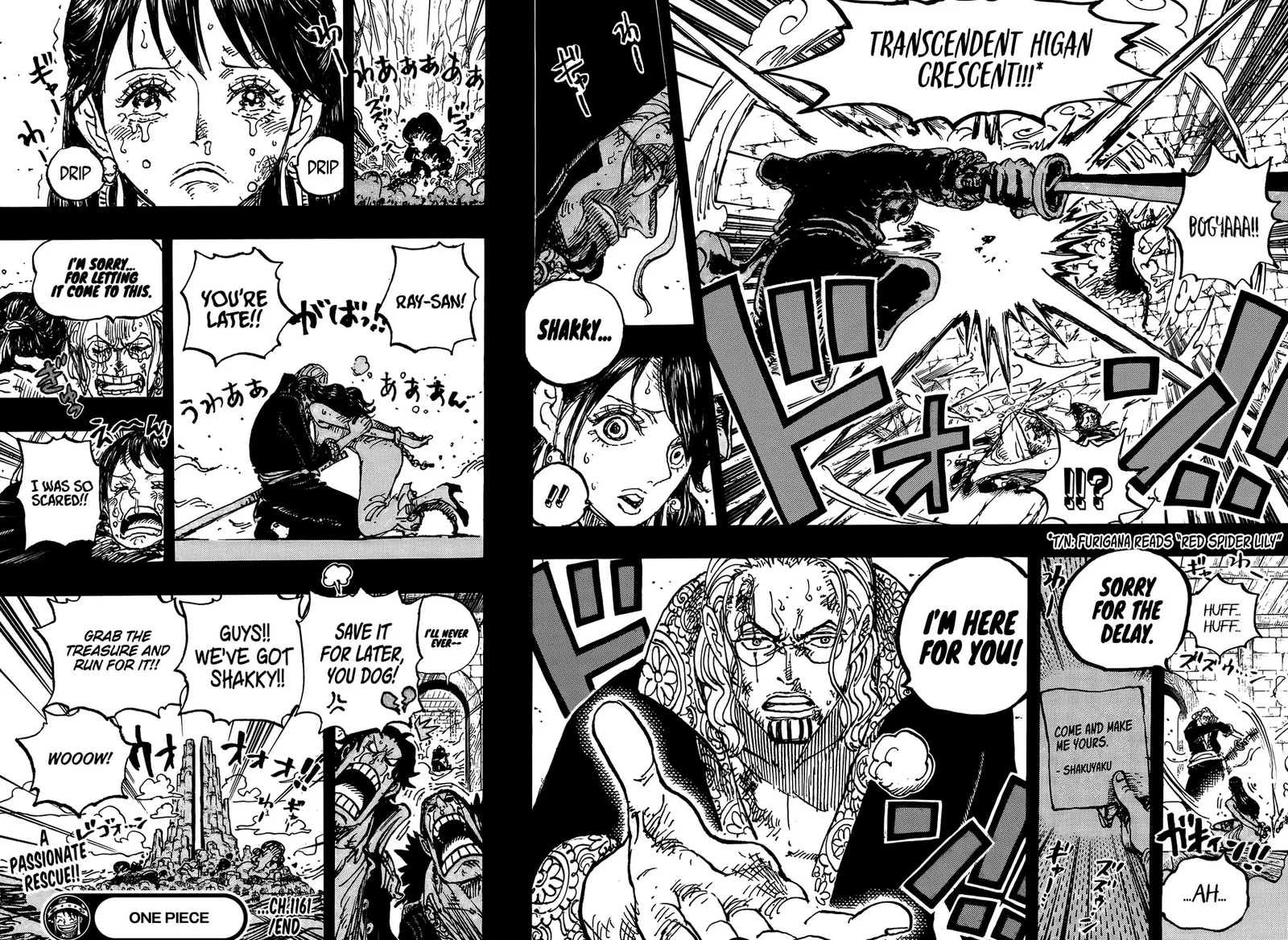 One Piece Chapter 1161 page 16