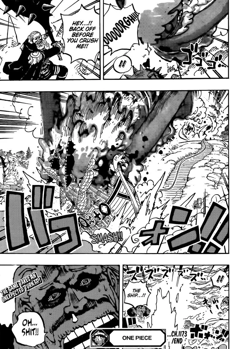 One Piece Chapter 1173 page 14