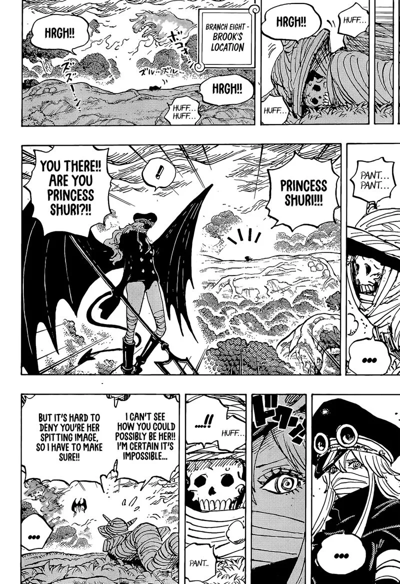 One Piece Chapter 1173 page 5