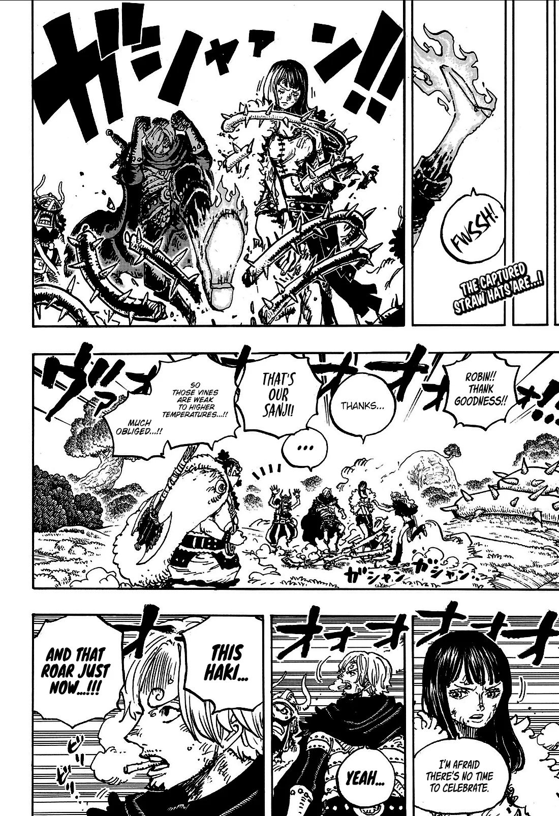 One Piece Chapter 1175 page 3