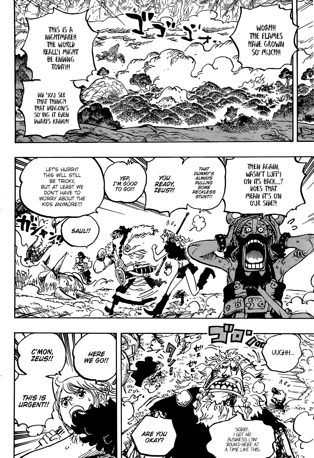 One Piece Chapter 1176 page 4