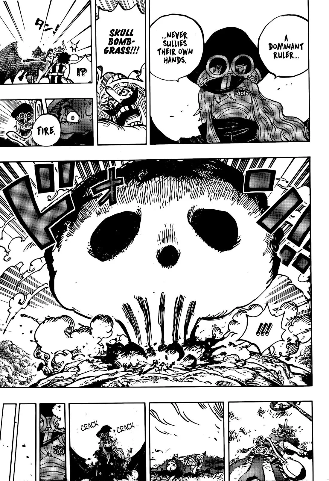 One Piece Chapter 1177 page 16