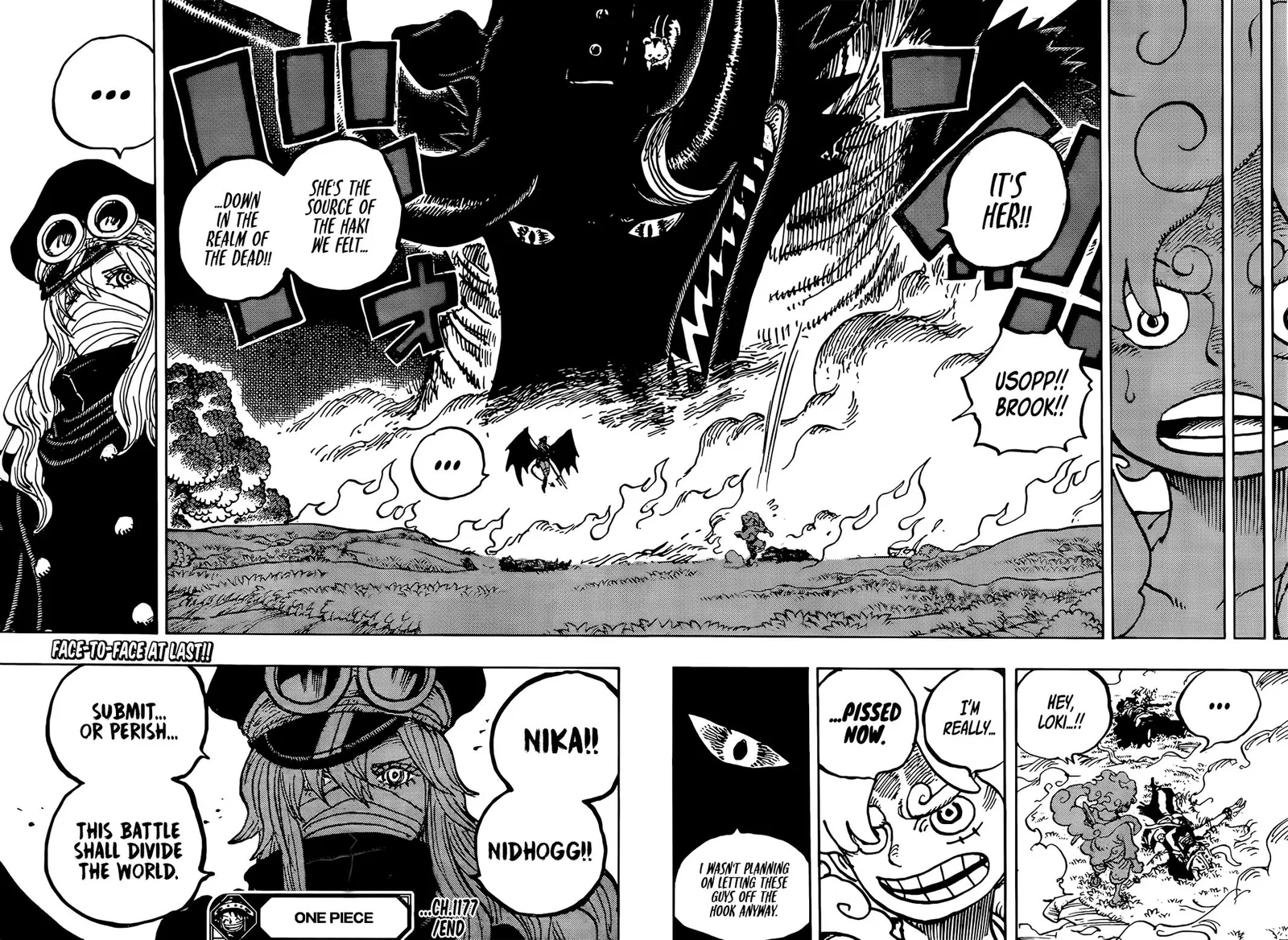 One Piece Chapter 1177 page 17