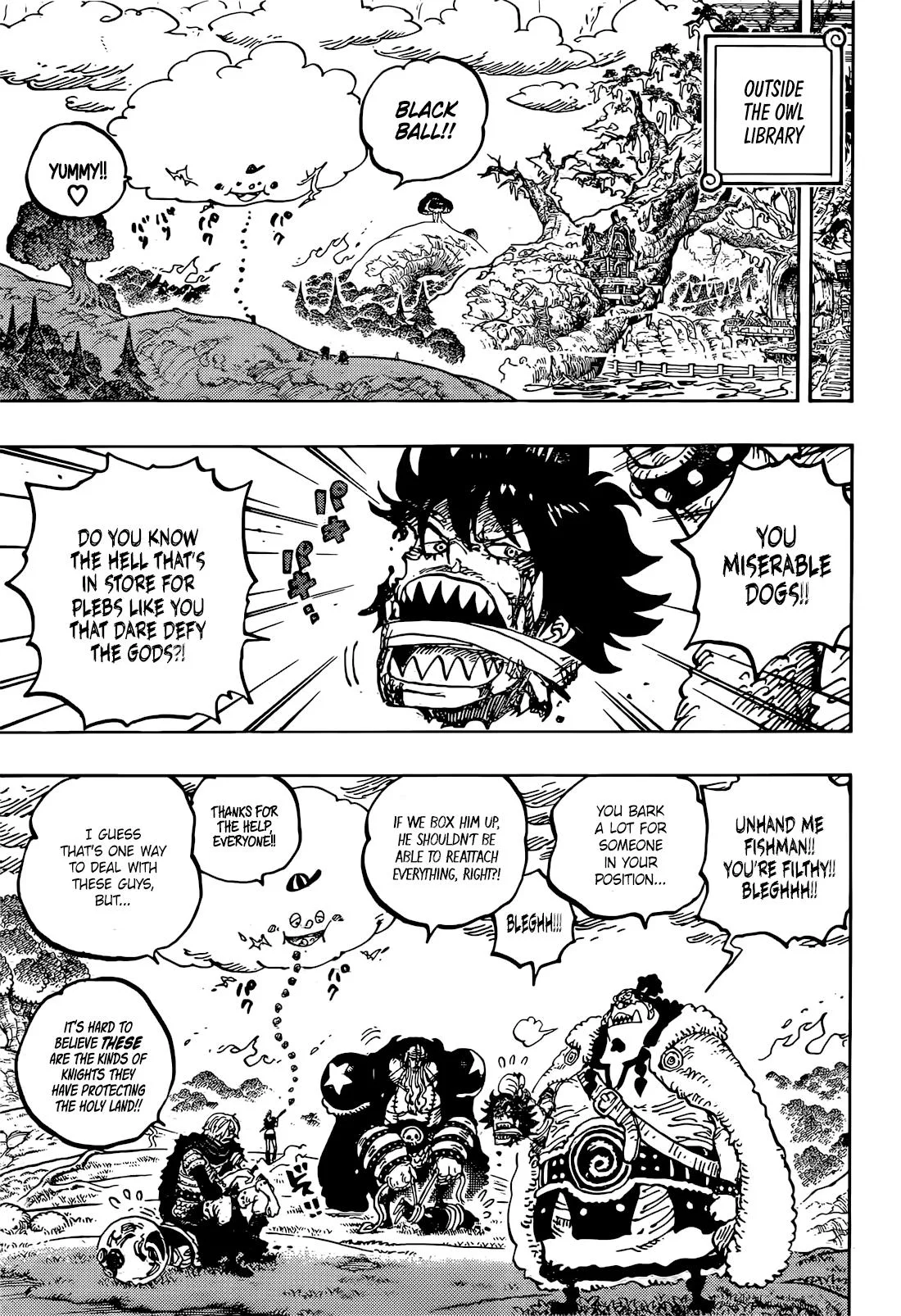 One Piece Chapter 1177 page 10