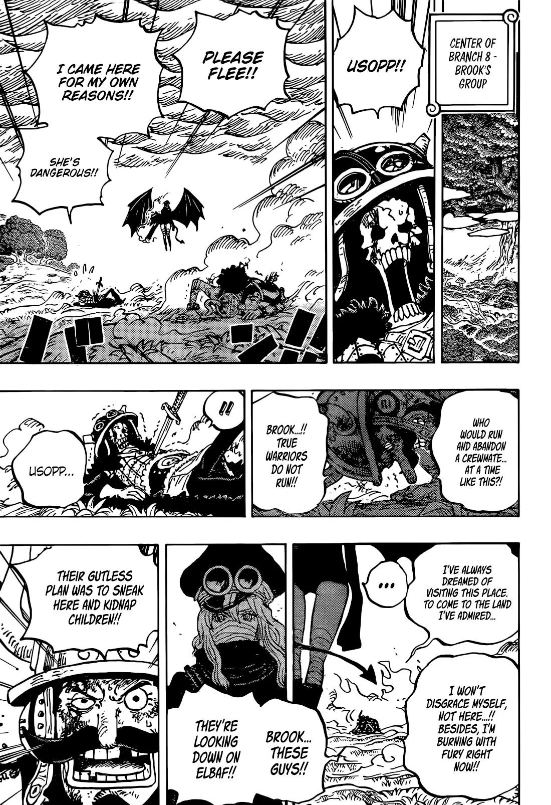 One Piece Chapter 1177 page 14