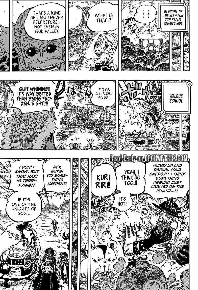 One Piece Chapter 1180 page 12