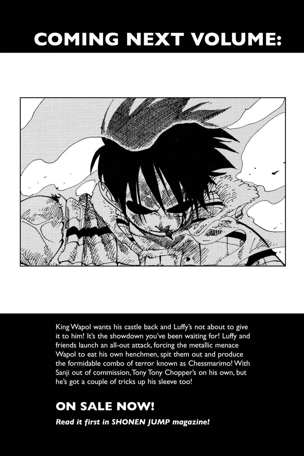 One Piece Chapter 145 page 19