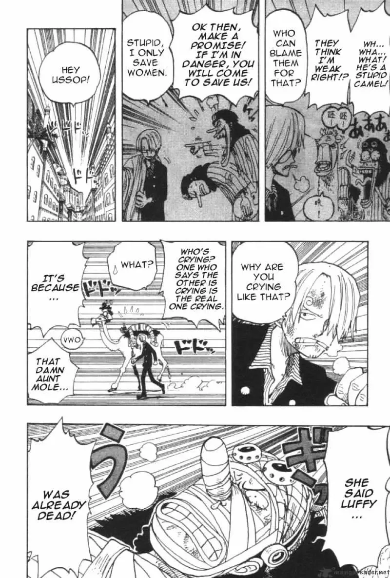 One Piece Chapter 195.99 page 14