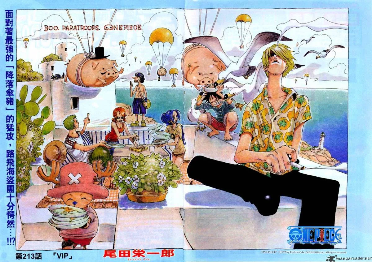 One Piece Chapter 213 page 1
