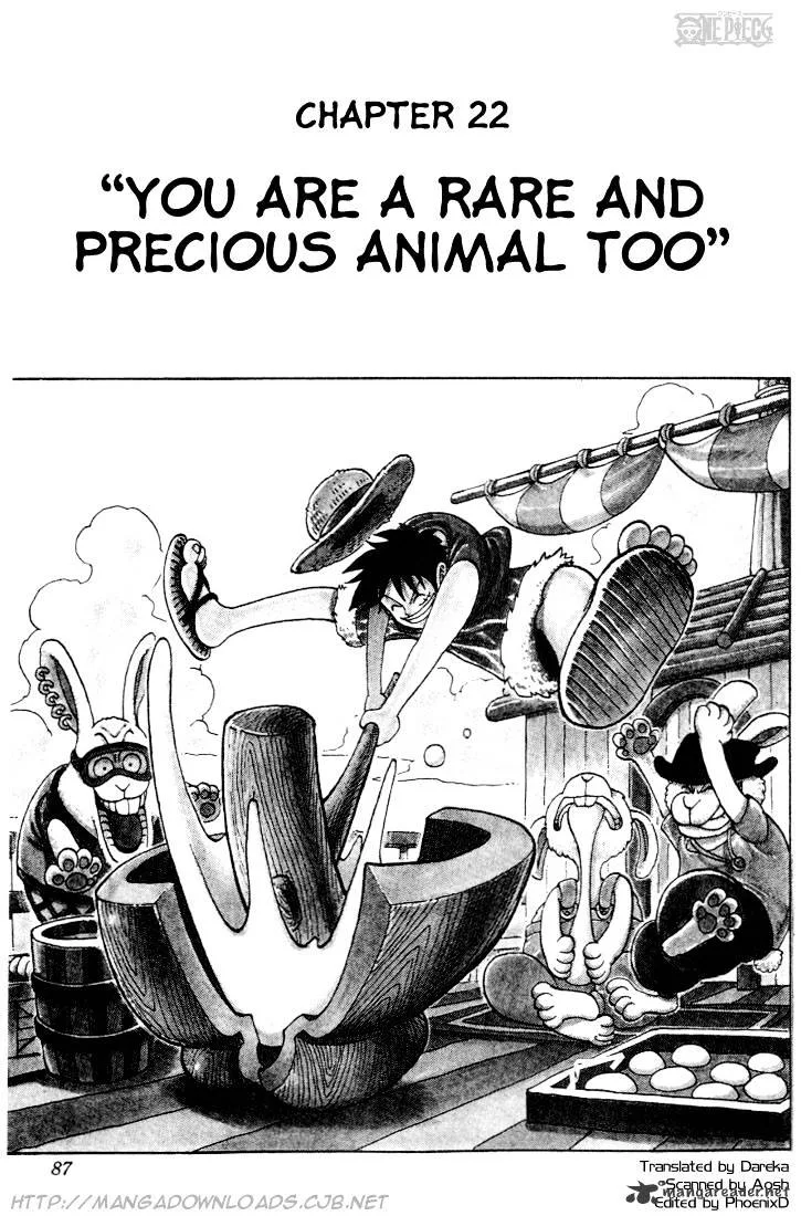 One Piece Chapter 22 page 1