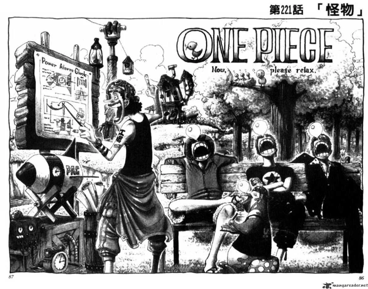 One Piece Chapter 221 page 2