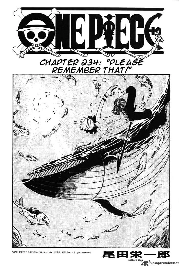 One Piece Chapter 234 page 1