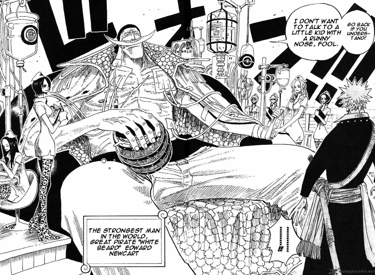 One Piece Chapter 234 page 12
