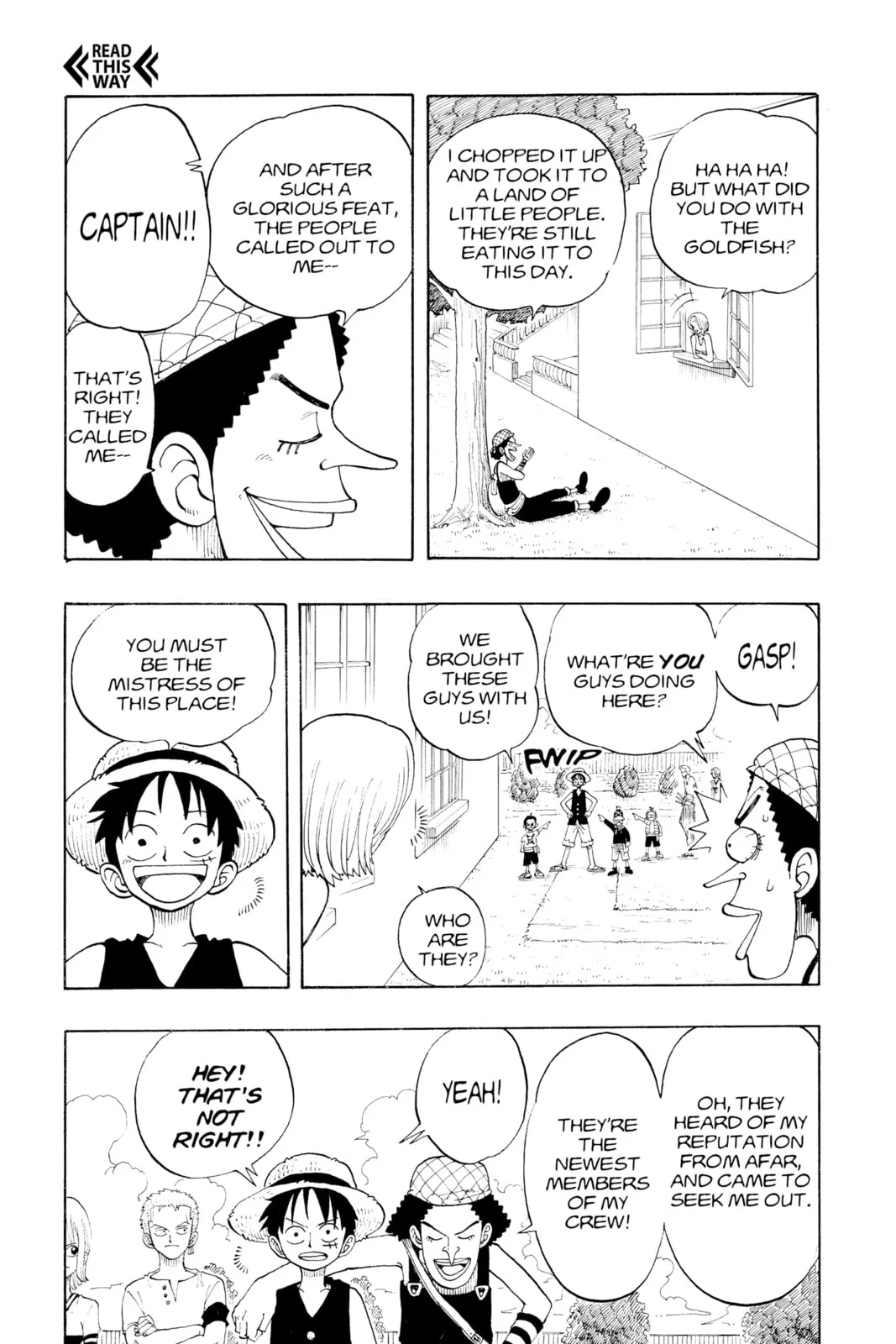 One Piece Chapter 24.1 page 13