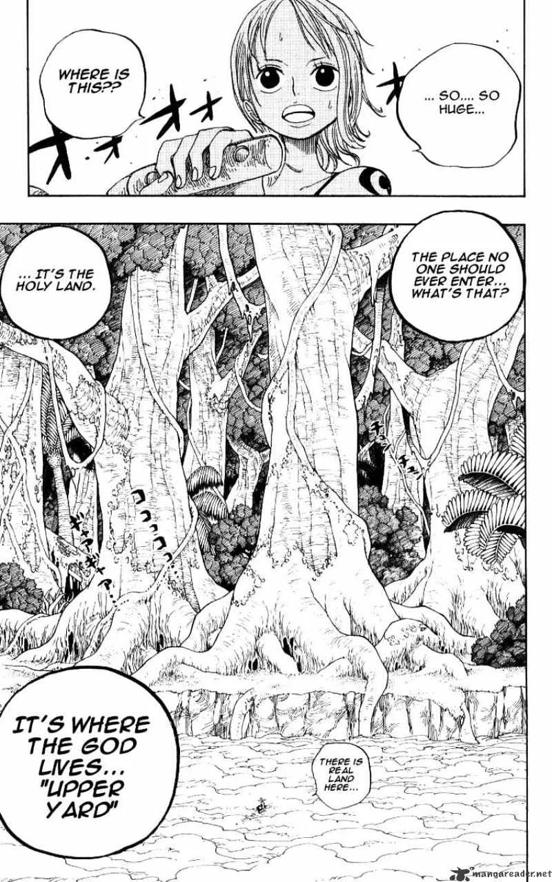 One Piece Chapter 240 page 17