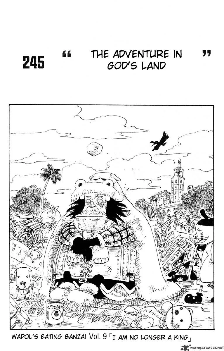 One Piece Chapter 245 page 1
