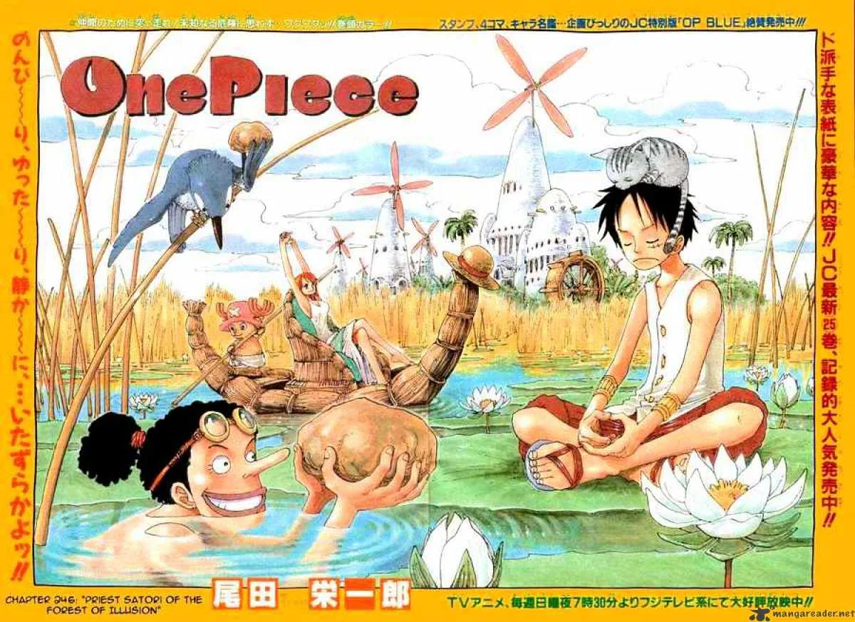 One Piece Chapter 246 page 1
