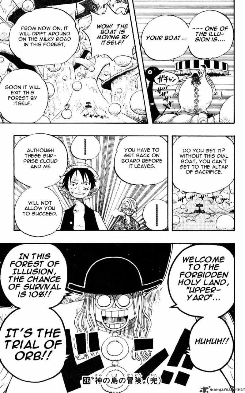 One Piece Chapter 246 page 19