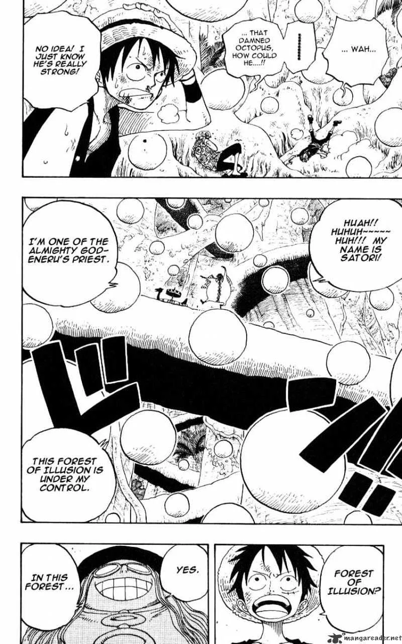 One Piece Chapter 246 page 18