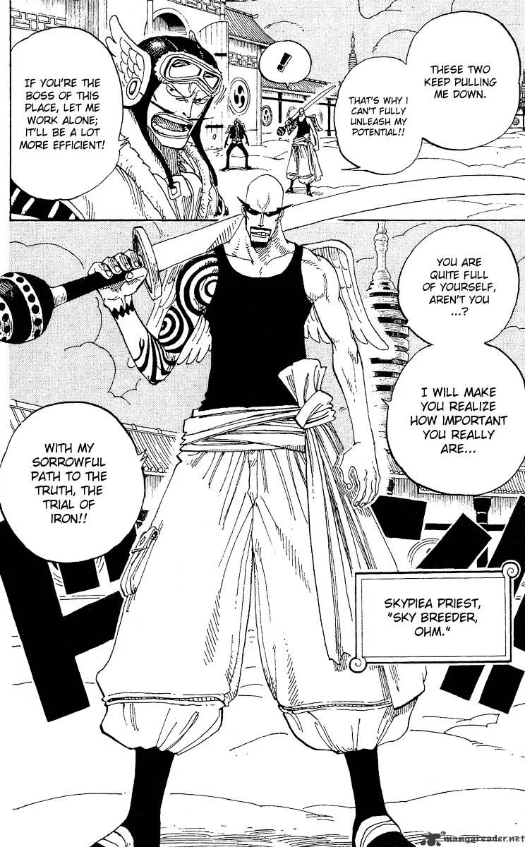 One Piece Chapter 254 page 8
