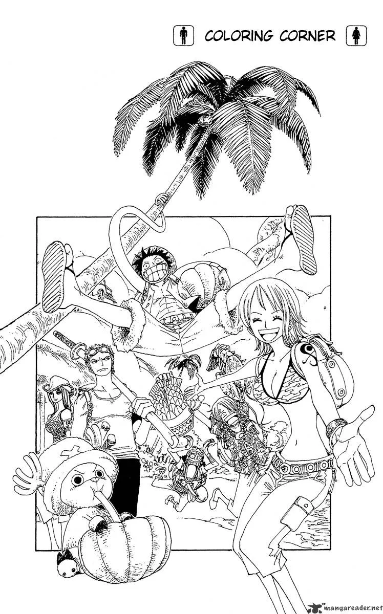 One Piece Chapter 254 page 18