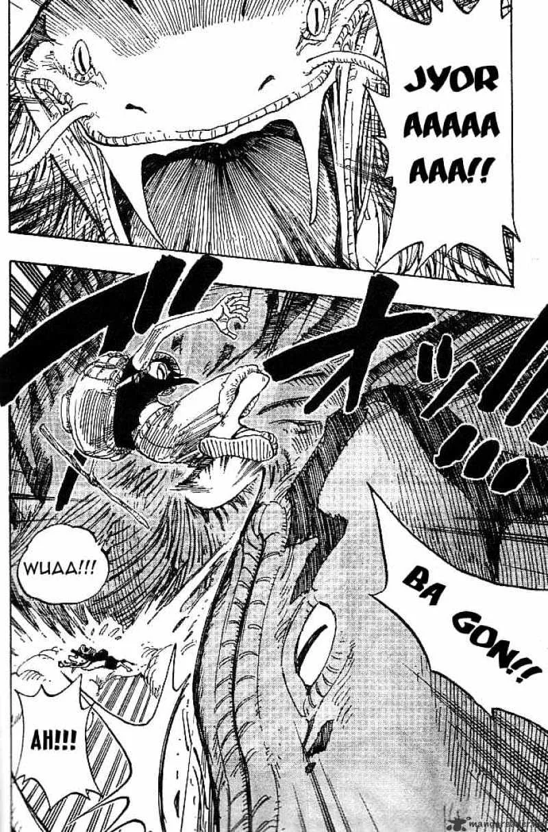 One Piece Chapter 255 page 14