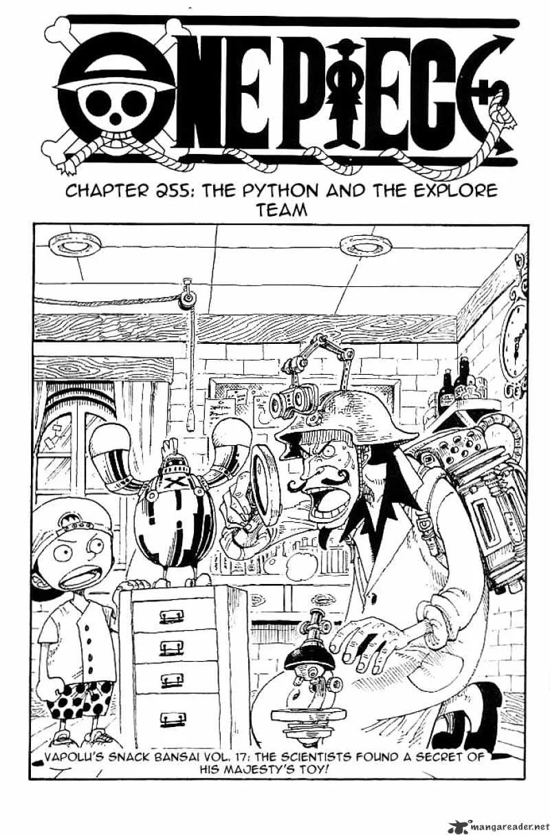 One Piece Chapter 255 page 1