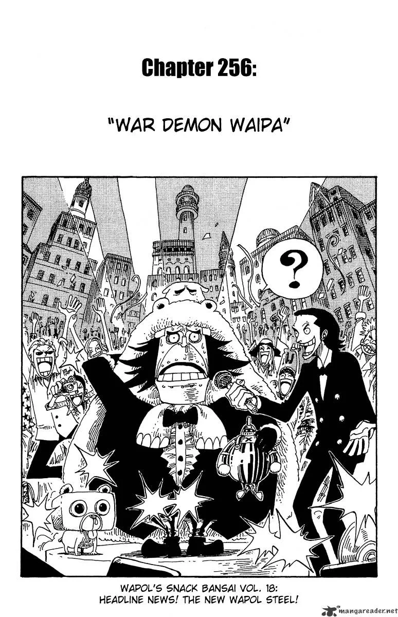 One Piece Chapter 256 page 11