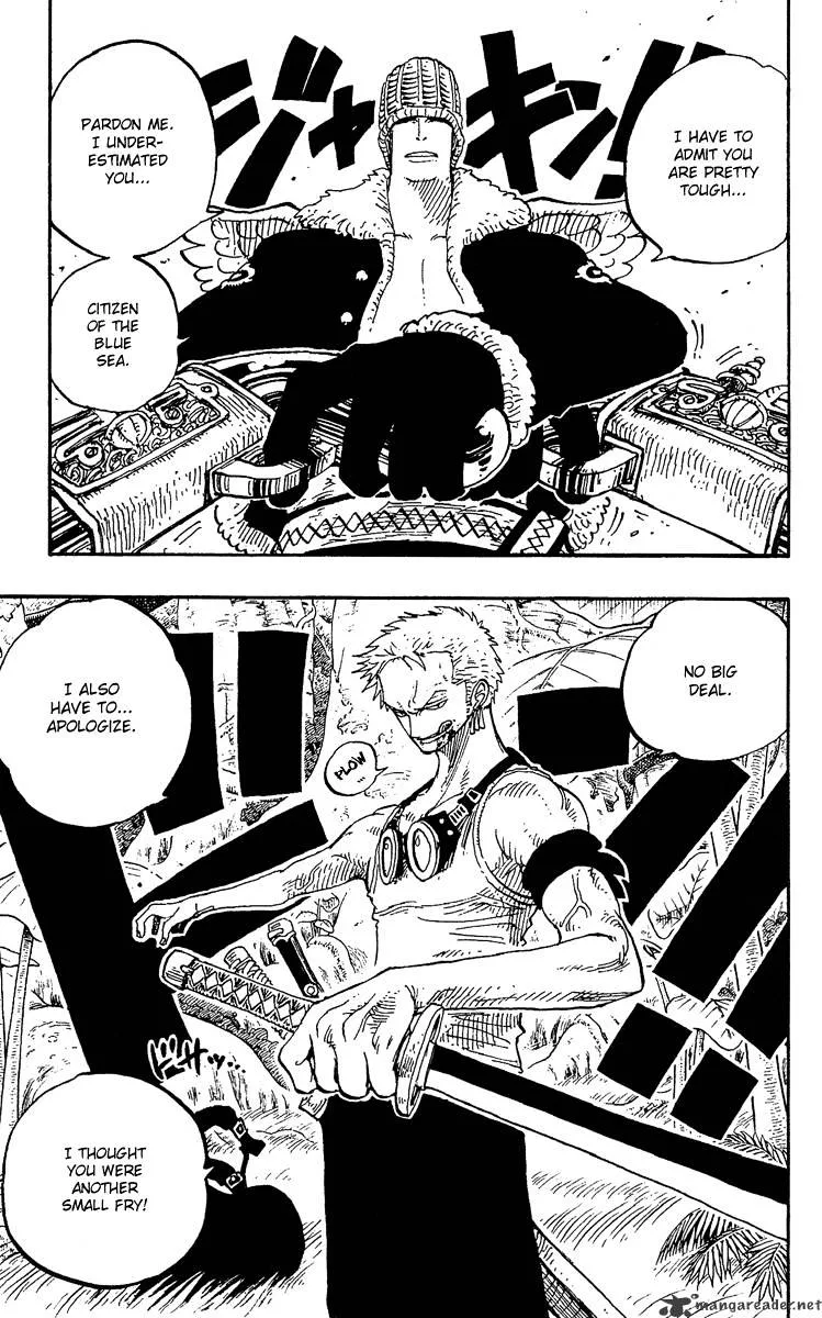 One Piece Chapter 258 page 19