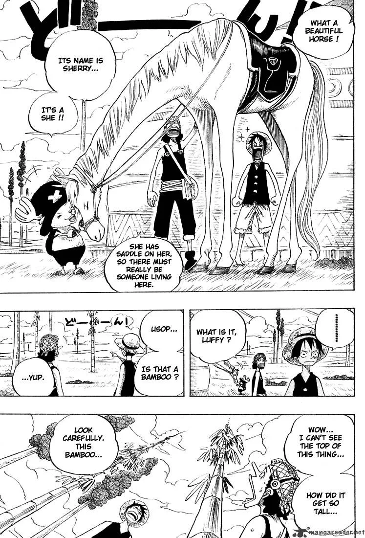 One Piece Chapter 304 page 15