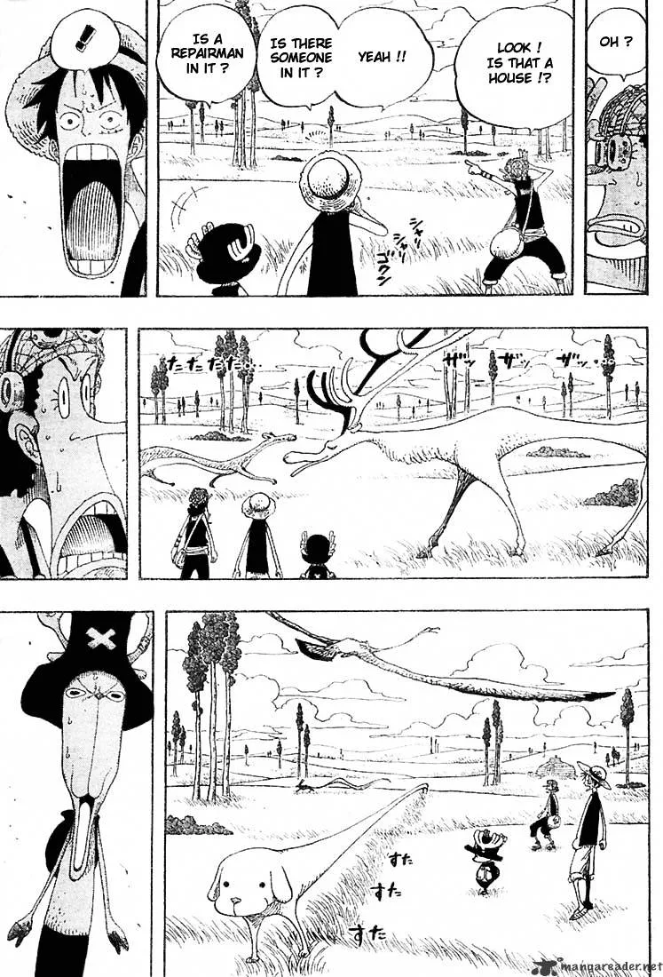 One Piece Chapter 304 page 13