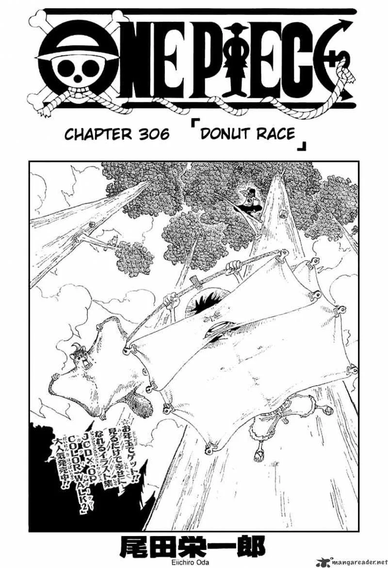 One Piece Chapter 306 page 1