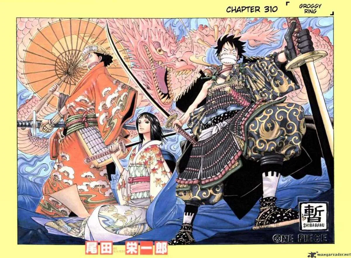One Piece Chapter 310 page 1