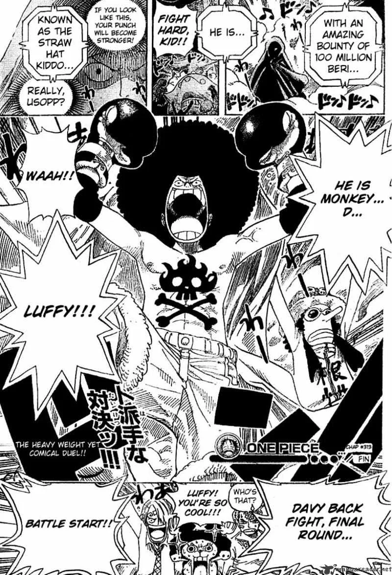 One Piece Chapter 313 page 19