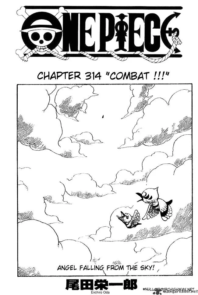 One Piece Chapter 314 page 1