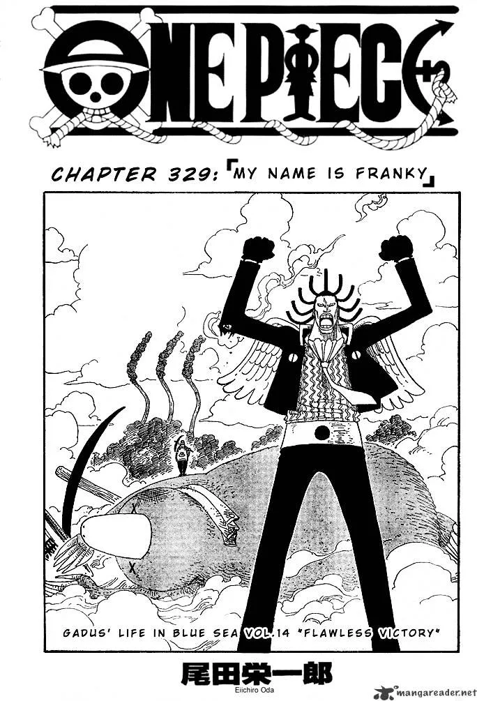 One Piece Chapter 329 page 1