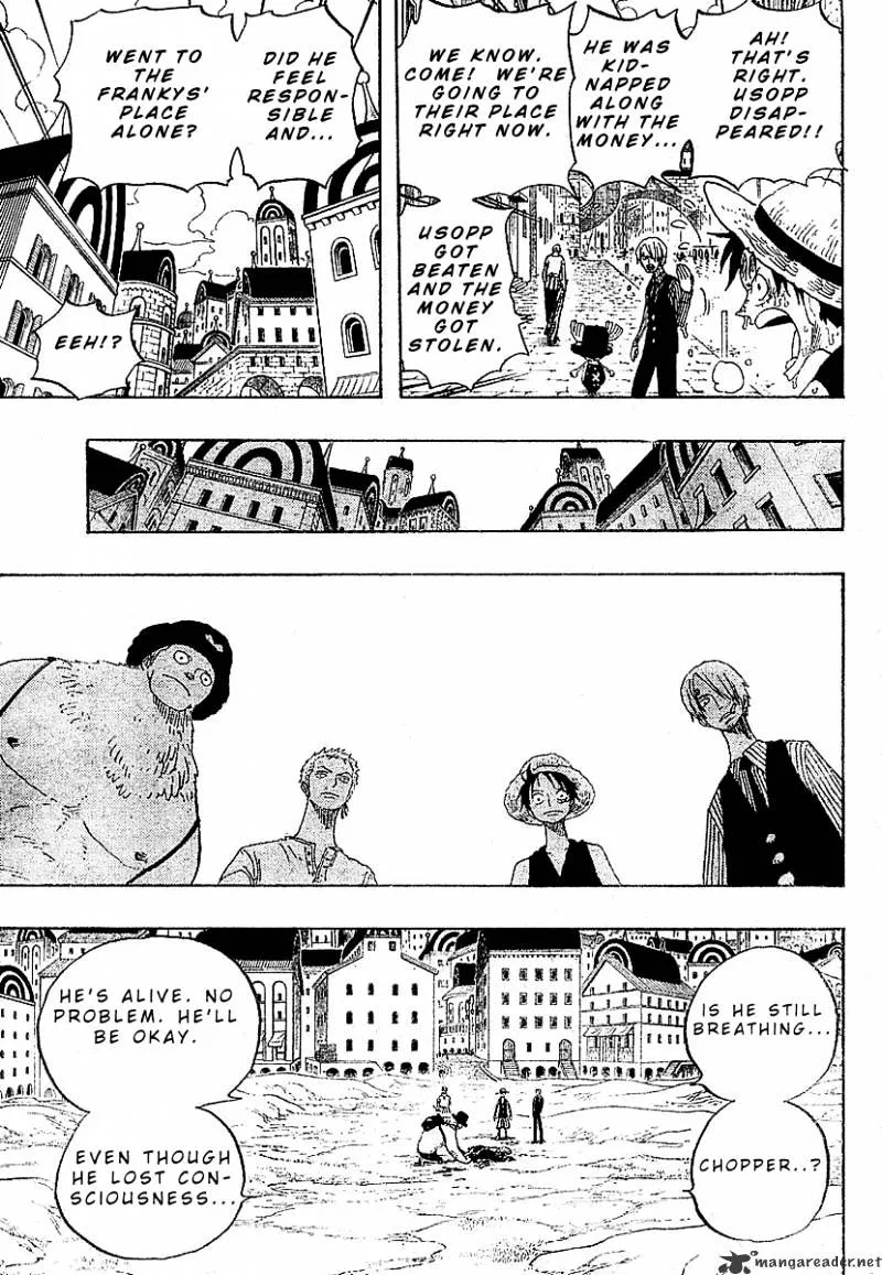 One Piece Chapter 329 page 17