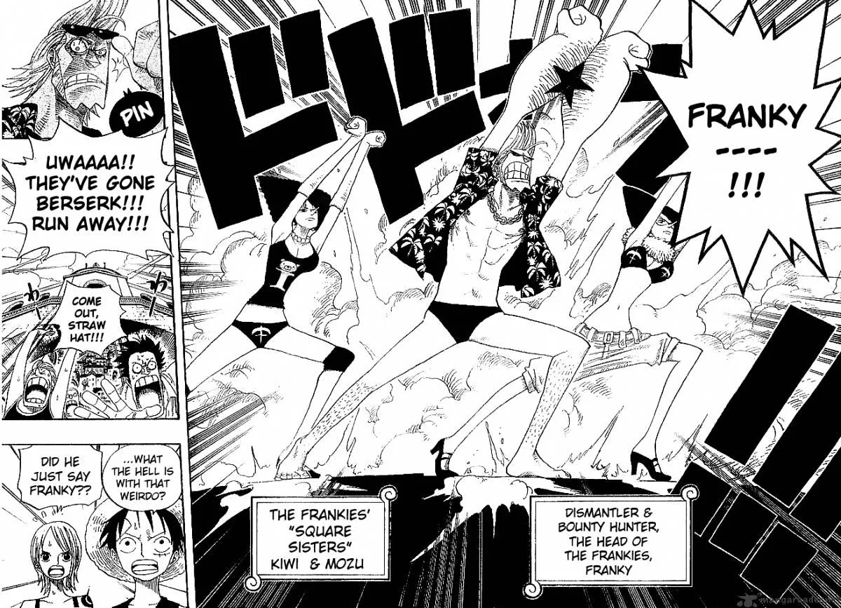 One Piece Chapter 335 page 14