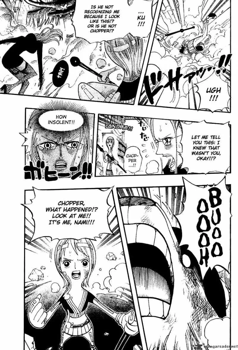 One Piece Chapter 411 page 4