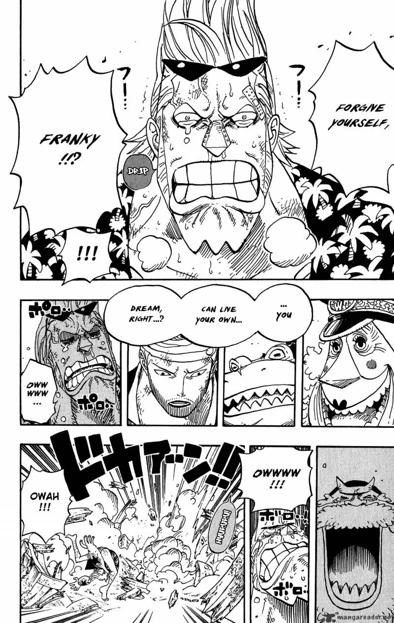 One Piece Chapter 437 page 10