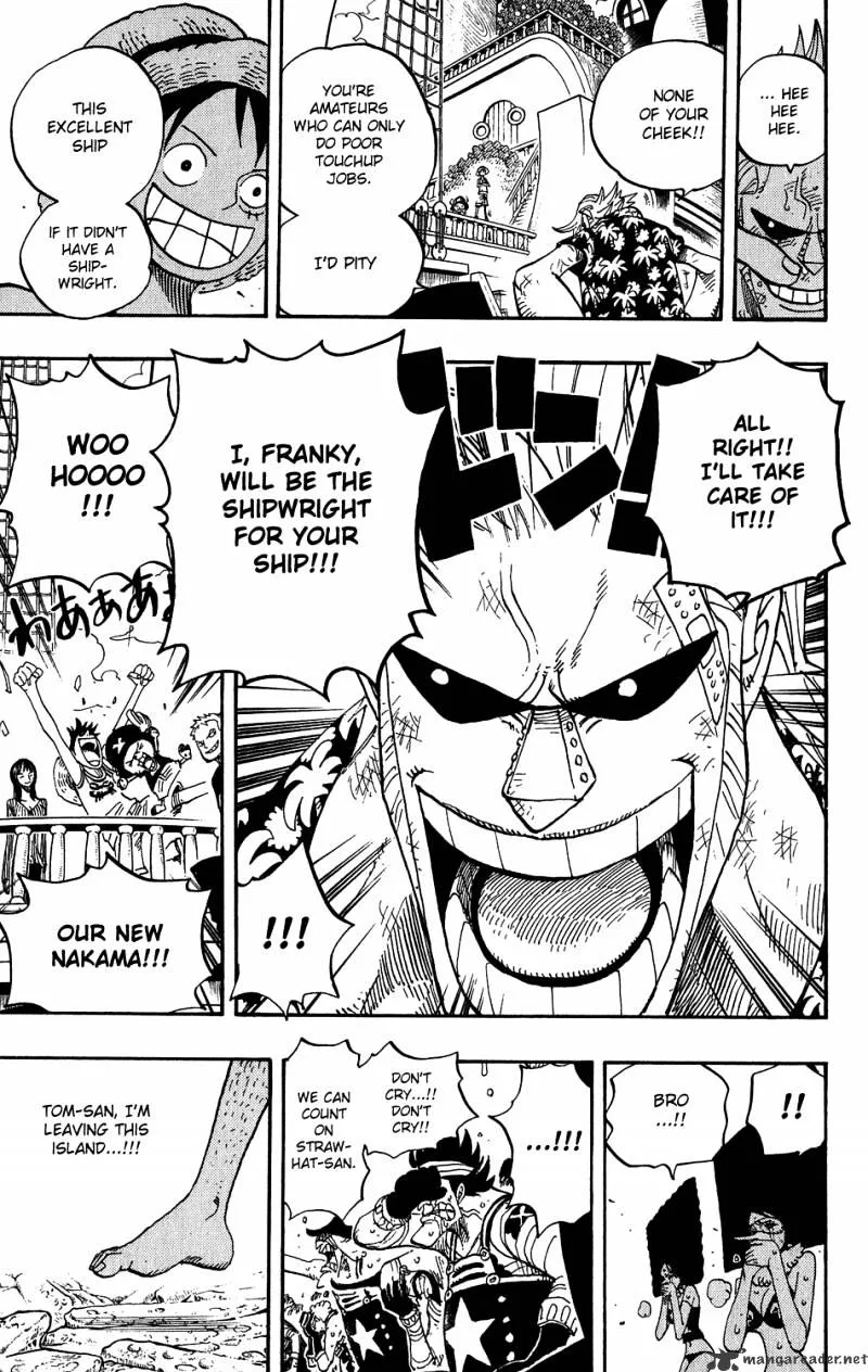 One Piece Chapter 437 page 17