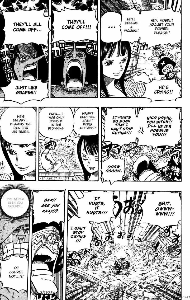 One Piece Chapter 437 page 13