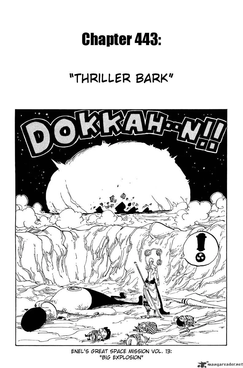 One Piece Chapter 443 page 1