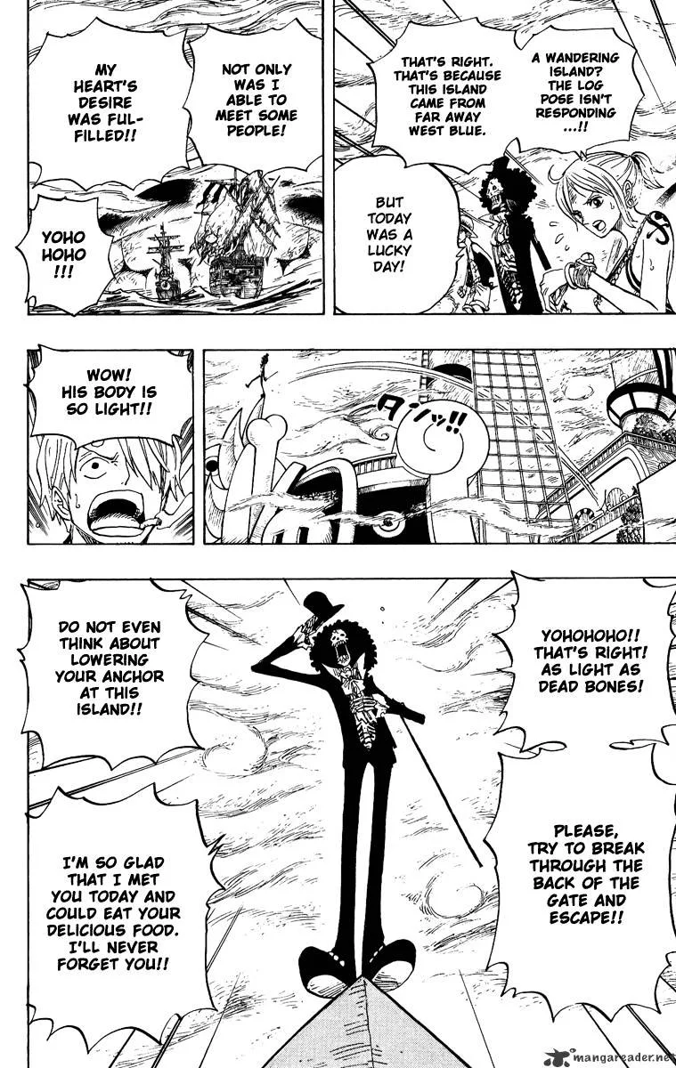 One Piece Chapter 443 page 17