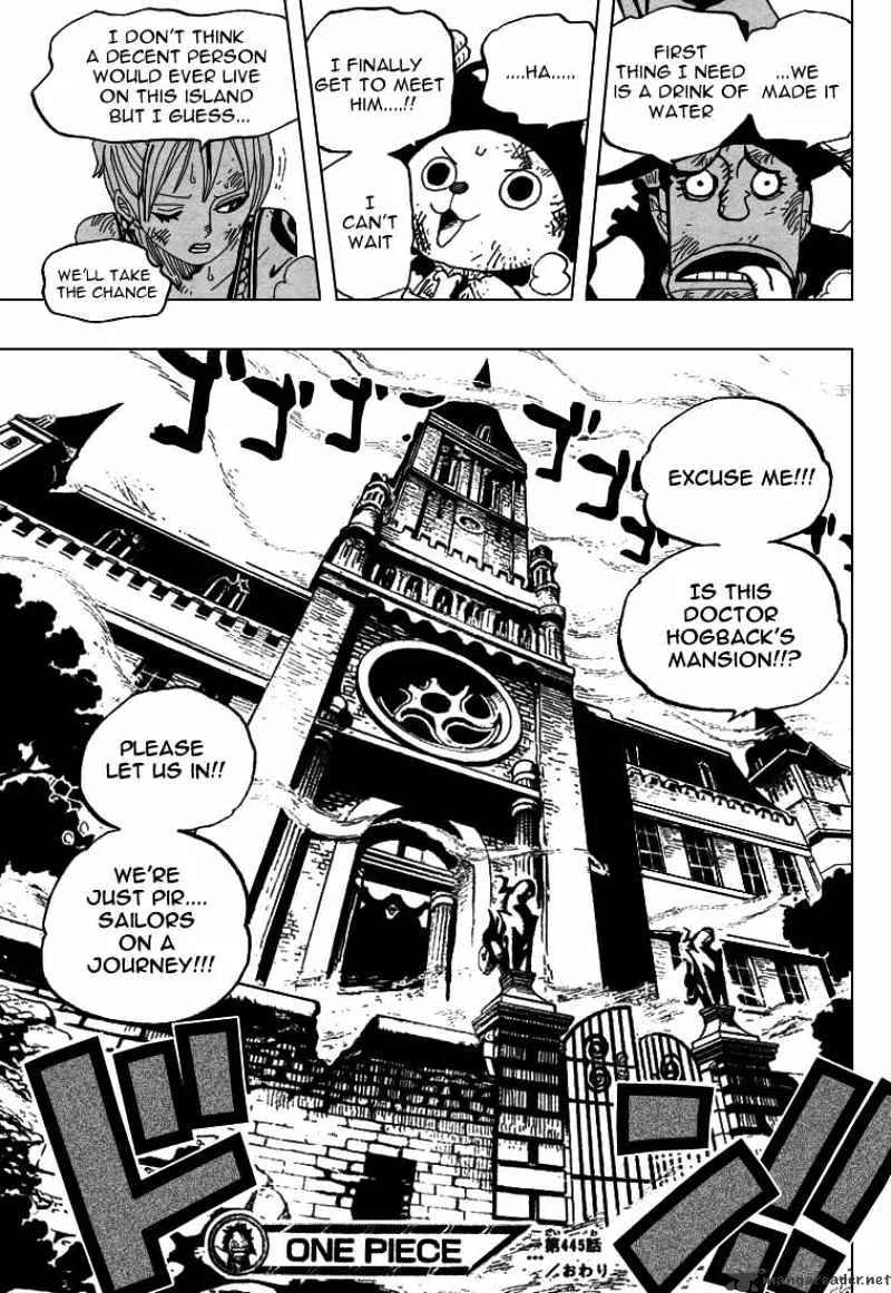 One Piece Chapter 445 page 18
