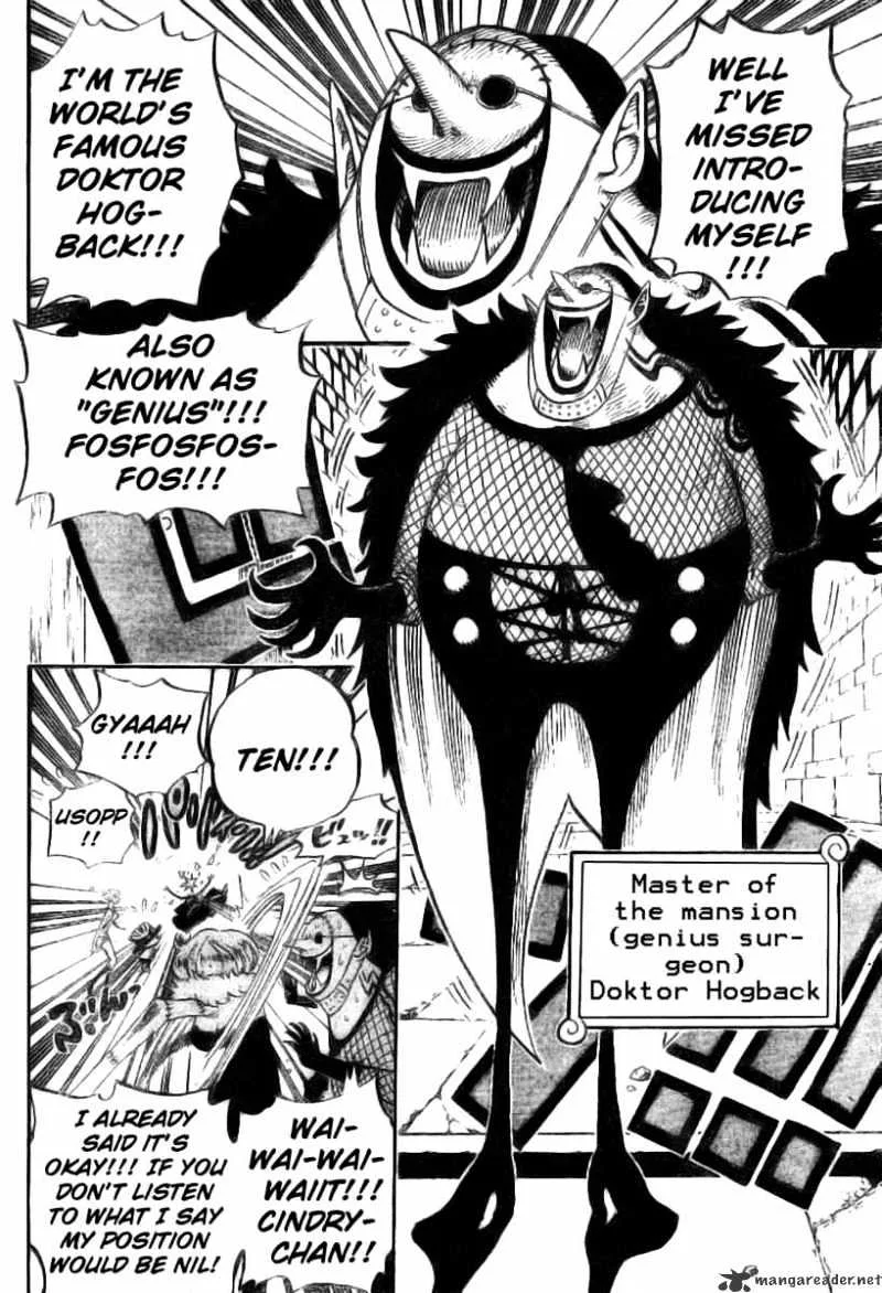 One Piece Chapter 446 page 5