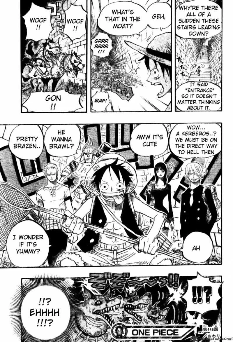 One Piece Chapter 446 page 18