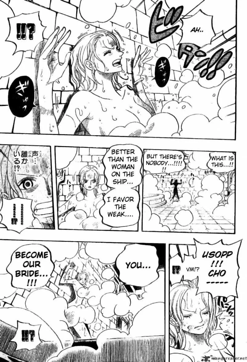 One Piece Chapter 446 page 14